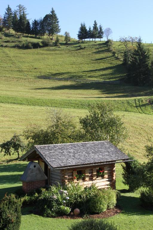 Ferienappartements Schrattengut Abtenau Esterno foto